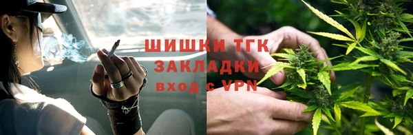 бошки Алексин