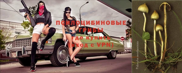бошки Алексин