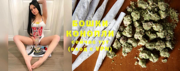 бошки Алексин
