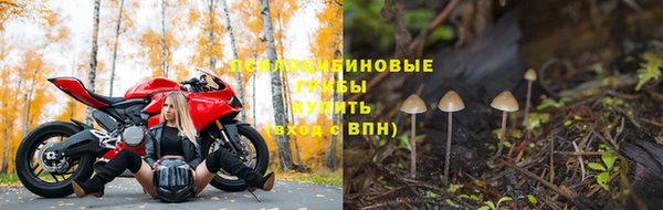 бошки Алексин