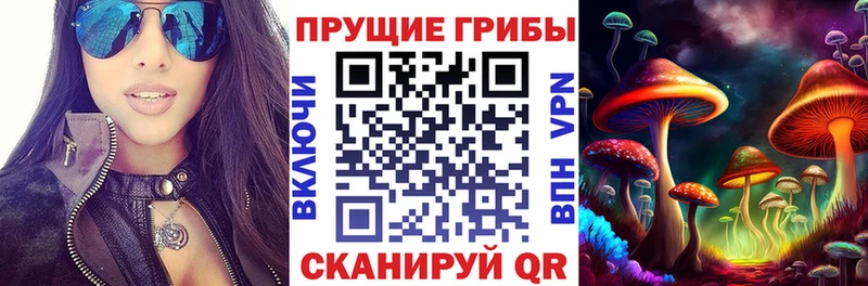 Галлюциногенные грибы Psilocybe  Петропавловск-Камчатский 